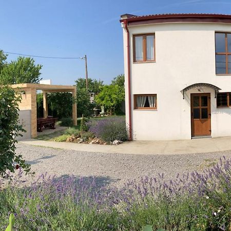 Fruska Gora Guesthouse Irig Εξωτερικό φωτογραφία